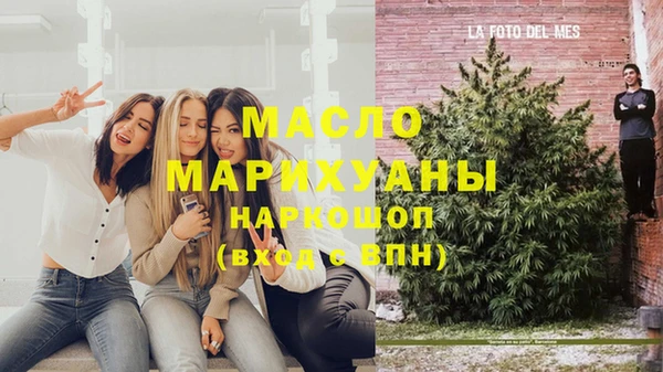индика Абинск