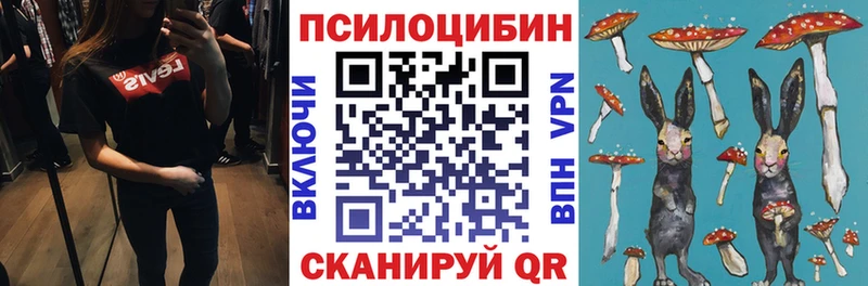 Галлюциногенные грибы мухоморы купить закладку Шатура