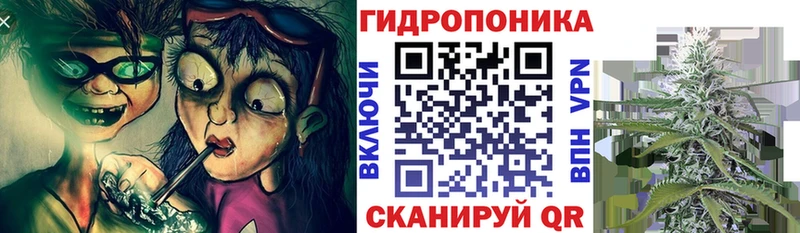 Канабис гибрид  купить  цена  Шатура 